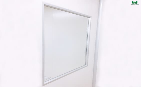 Single or Double: Choosing Cleanroom  Vision  Windows